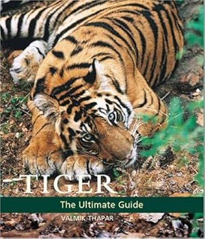 Seller image for Tiger for sale by WeBuyBooks