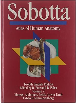 Immagine del venditore per Sobotta atlas of human anatomy / Vol. 2, Thorax, abdomen, pelvis, lower limb. venduto da Untje.com