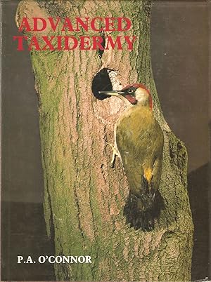 Bild des Verkufers fr ADVANCED TAXIDERMY. By P.A. O'Connor. zum Verkauf von Coch-y-Bonddu Books Ltd