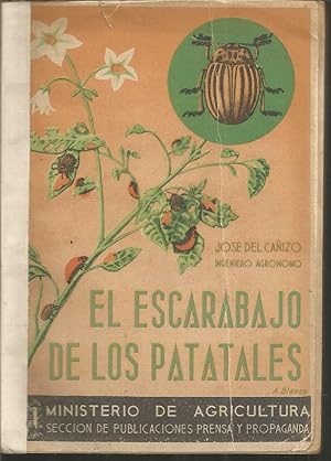 EL ESCARABAJO DE LOS PATATALES