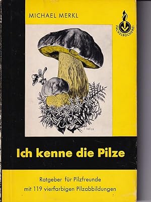 Ich kenne die Pilze