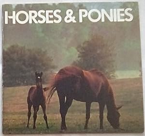 Image du vendeur pour Horses & Ponies: An Animal Information Book mis en vente par P Peterson Bookseller