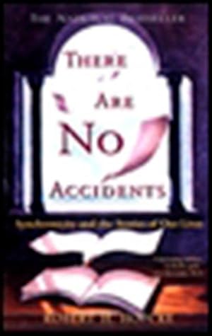 Bild des Verkufers fr There Are No Accidents: Synchronicity and the Stories of Our Lives zum Verkauf von moluna