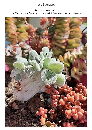 Seller image for La Magie des Crassulaces et lgendes succulentes for sale by moluna