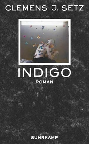 Bild des Verkäufers für Indigo: Roman (suhrkamp taschenbuch) zum Verkauf von Versandantiquariat Felix Mücke