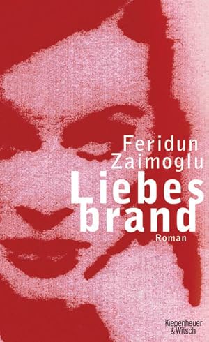 Image du vendeur pour Liebesbrand: Roman mis en vente par Versandantiquariat Felix Mcke