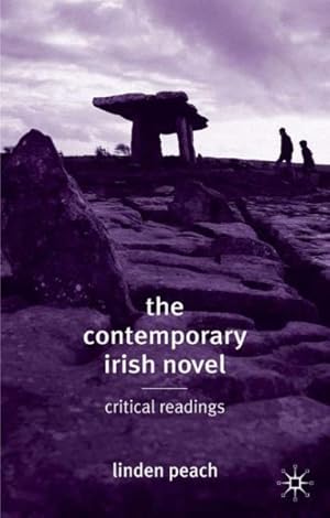 Imagen del vendedor de Contemporary Irish Novel : Critical Readings a la venta por GreatBookPrices