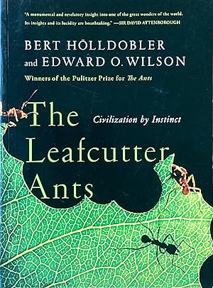 The leafcutter ants