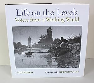 Life on the Levels: Voices from the Working World
