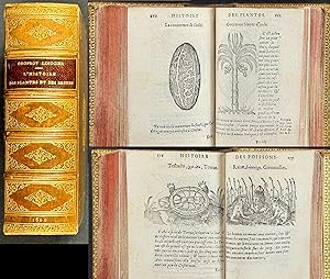 Linocier's L'Histoire des plantes - Volume with Numerous In Text Illustrations to 239 Pages