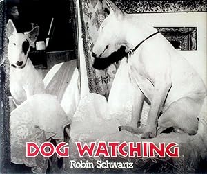 Dog Watching
