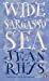 Imagen del vendedor de Penguin Essentials Wide Sargasso Sea [Soft Cover ] a la venta por booksXpress