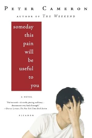 Seller image for Someday This Pain Will Be Useful to You: A Novel by Cameron, Peter [Paperback ] for sale by booksXpress