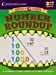 Bild des Verkufers fr Number Roundup: A workbook of place values and number strategies [Soft Cover ] zum Verkauf von booksXpress