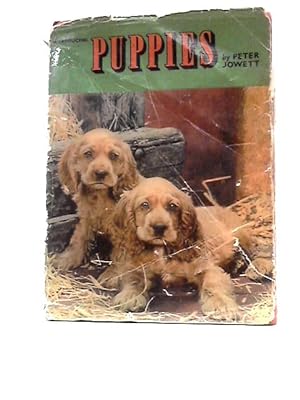 Imagen del vendedor de Introducing Puppies a la venta por World of Rare Books