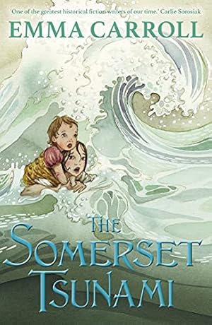 Seller image for The Somerset Tsunami by Carroll, Emma [Paperback ] for sale by booksXpress
