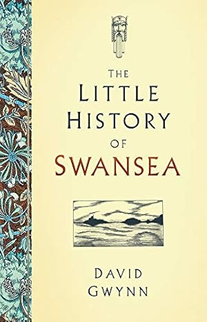 Seller image for The Little History of Swansea by Gwynn, David [Hardcover ] for sale by booksXpress