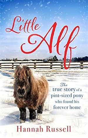 Imagen del vendedor de Little Alf: The true story of a pint-sized pony who found his forever home by Russell, Hannah [Paperback ] a la venta por booksXpress