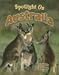 Seller image for Spotlight on Australia (Spotlight on My Country) [Soft Cover ] for sale by booksXpress