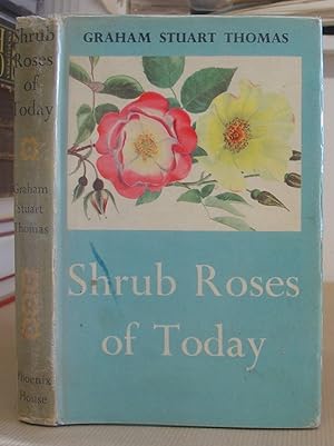 Seller image for Shrub Roses Of Today for sale by Eastleach Books