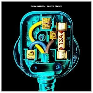 Bild des Verkufers fr Sanity & Gravity-25th Anniverary Edition, 1 Audio-CD (Digipak) zum Verkauf von moluna