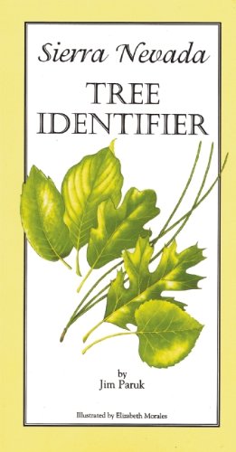 Seller image for Sierra Nevada Tree Identifier by Paruk, Jim [Paperback ] for sale by booksXpress