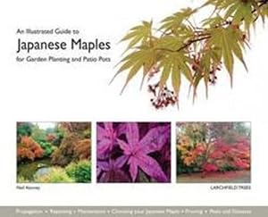 Image du vendeur pour An Illustrated Guide to Japanese Maples for Garden Planting and Patio Pots by Kenney, Neil [Paperback ] mis en vente par booksXpress