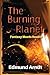 Seller image for The Burning Planet - Fantasy Meets Reality [Soft Cover ] for sale by booksXpress