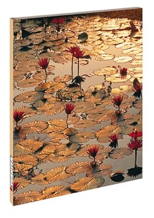 Image du vendeur pour Lotus Pond mis en vente par BuchWeltWeit Ludwig Meier e.K.