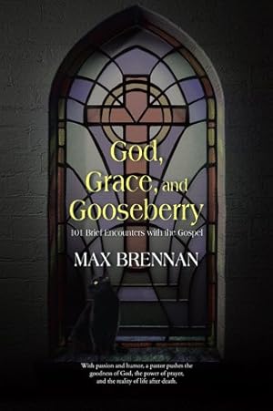 Bild des Verkufers fr God, Grace, and Gooseberry : 101 Brief Encounters With the Gospel zum Verkauf von GreatBookPricesUK