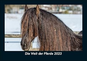 Seller image for Die Welt der Pferde 2023 Fotokalender DIN A5 for sale by moluna