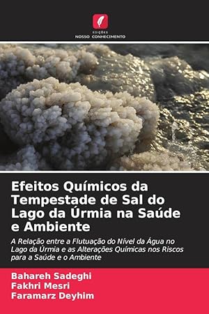 Seller image for Efeitos Qumicos da Tempestade de Sal do Lago da rmia na Sade e Ambiente for sale by moluna