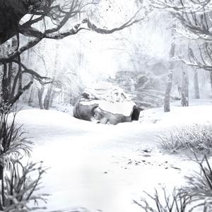 Seller image for SZNZ:Winter for sale by moluna