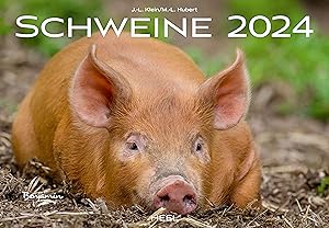 Seller image for Schweine Kalender 2024 for sale by moluna