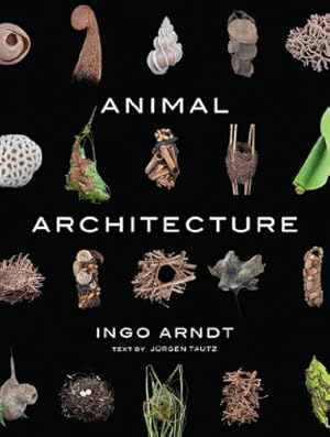 Seller image for Animal Architecture by Arndt, Ingo, Tautz, Jurgen [Hardcover ] for sale by booksXpress