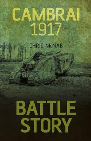 Bild des Verkufers fr Battle Story: Cambrai 1917 zum Verkauf von WeBuyBooks