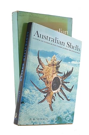 Australian Shells