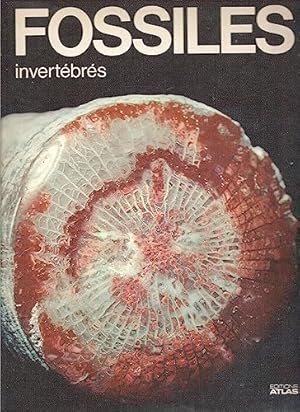 Imagen del vendedor de Les Fossiles invertbrs (La Nature et ses merveilles) a la venta por Ammareal