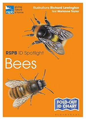 Immagine del venditore per RSPB ID Spotlight - Bees by Taylor, Marianne [Paperback ] venduto da booksXpress