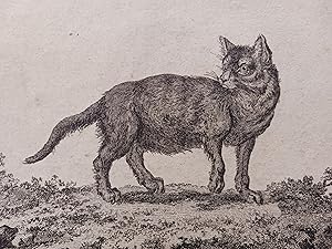 Immagine del venditore per CHAT DES CHARTREUX GRAVURE 1767 CLAUDE FESSARD BURIN CAT FELIN R4292 venduto da Librairie RAIMOND