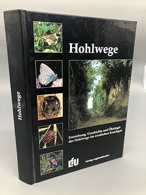 Hohlwege. Entstehung, Geschichte und Ökologie der Hohlwege im westlichen Kraichgau. Beihefte zu d...