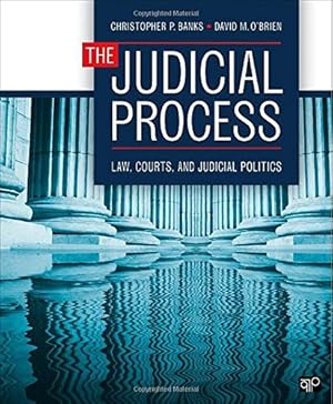 Seller image for The Judicial Process: Law, Courts, and Judicial Politics by Banks, Christopher P., OBrien, David M. [Paperback ] for sale by booksXpress