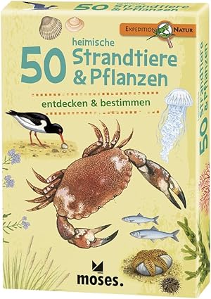 Bild des Verkufers fr moses. Expedition Natur - 50 heimische Strandtiere und Pflanzen| Bestimmungskarten im Set | Mit spannenden Quizfragen zum Verkauf von buchlando-buchankauf