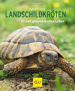 Bild des Verkufers fr Landschildkrten: Fit und gesund durchs Leben zum Verkauf von buchlando-buchankauf