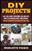 Imagen del vendedor de DIY Projects: Save Time & Money Maintaining Your Home With Simple DIY Household Hacks, Home Remedies: Increase Productivity & Save Time with Frugal Living [Soft Cover ] a la venta por booksXpress