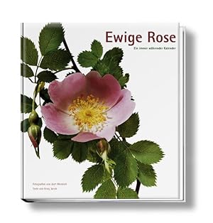 Bild des Verkufers fr Ewige Rose: Ein immer whrender Kalender zum Verkauf von Gerald Wollermann