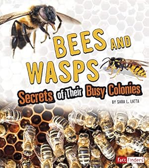 Seller image for Bees and Wasps: Secrets of Their Busy Colonies (Amazing Animal Colonies) by Latta, Sara L. [Paperback ] for sale by booksXpress