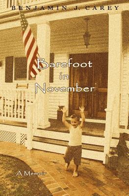 Seller image for BAREFOOT IN NOVEMBER for sale by moluna