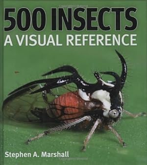 Seller image for 500 Insects: A Visual Reference (Firefly Visual Reference) [Hardcover ] for sale by booksXpress