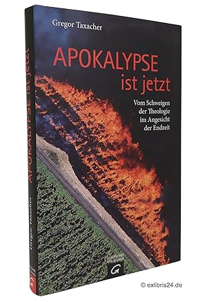 Immagine del venditore per Apokalypse ist jetzt : Vom Schweigen der Theologie im Angesicht der Endzeit venduto da exlibris24 Versandantiquariat